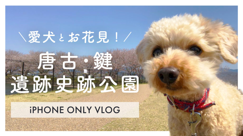 犬とお花見！唐古•鍵遺跡史跡公園