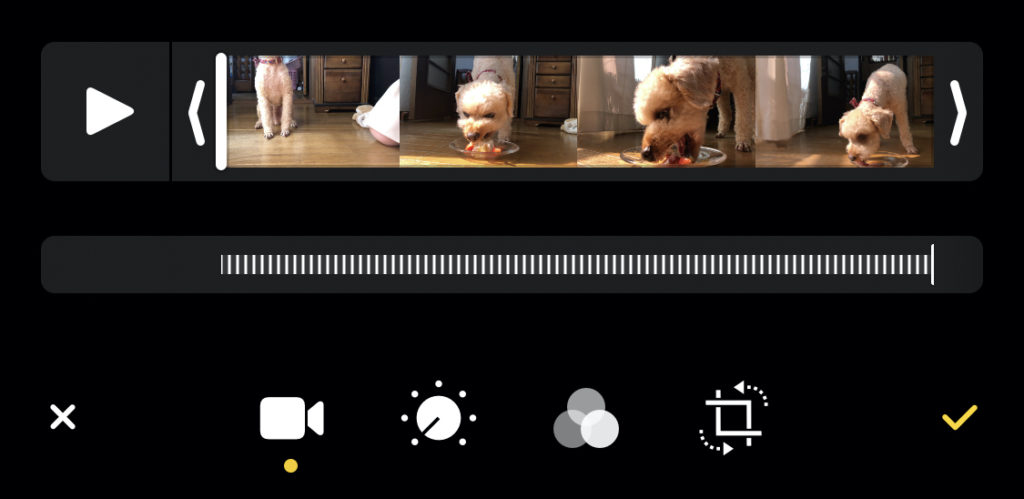 iPhone純正アプリ「写真」で動画の速度変更｜naraco